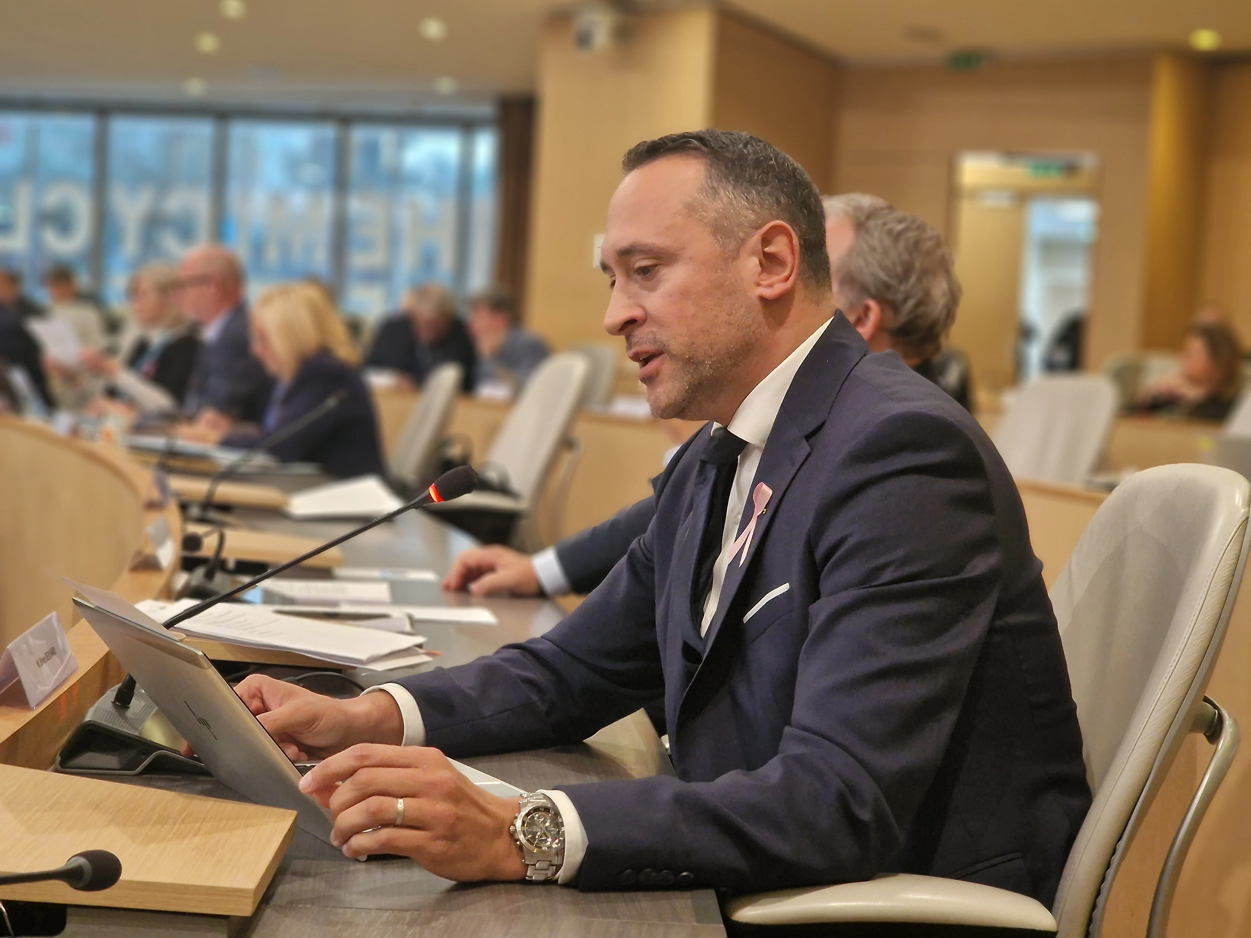 Un parcours enraciné